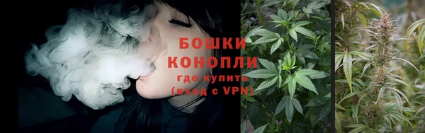 гидропоника Белокуриха