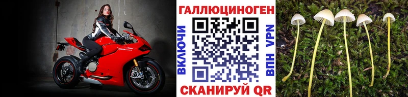 Галлюциногенные грибы прущие грибы  купить наркоту  Гулькевичи 