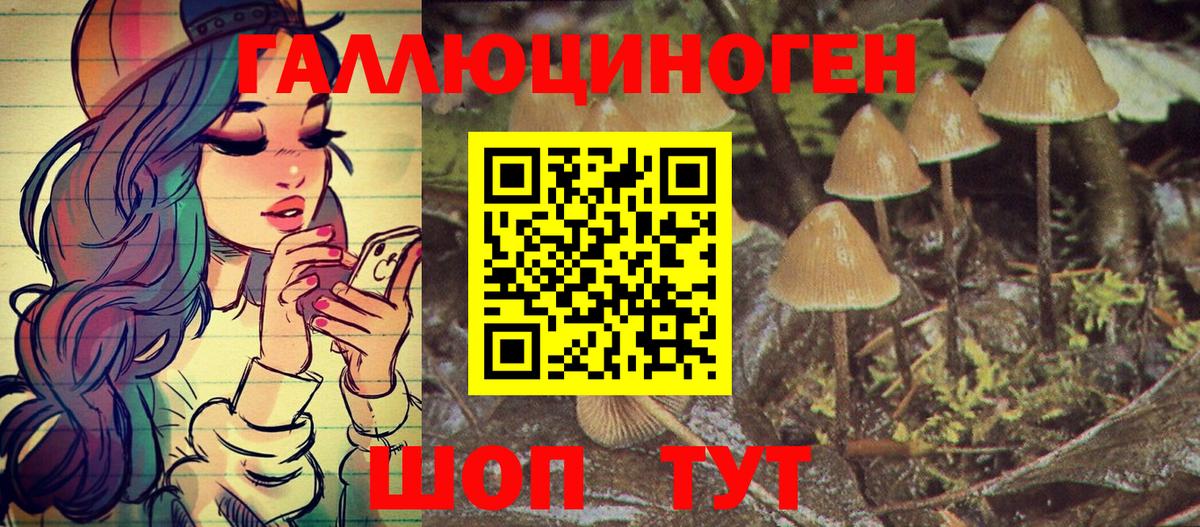 Псилоцибиновые грибы мухоморы  продажа наркотиков  Псилоцибиновые грибы MAGIC MUSHROOMS  Гулькевичи 