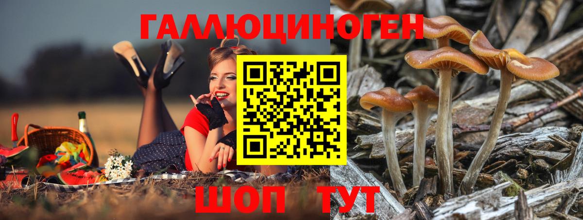 Гулькевичи  Псилоцибиновые грибы MAGIC MUSHROOMS  Вход с VPN 