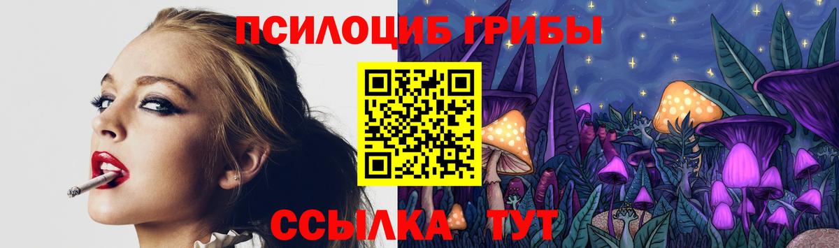 Галлюциногенные грибы Гулькевичи